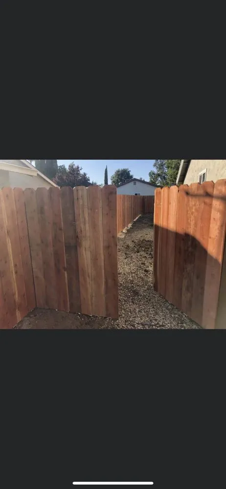 Affordable yard cleanup service in Manteca, CA by Joes 209 Yard Services