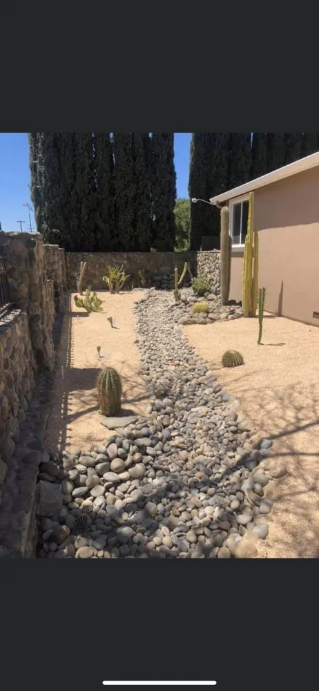 Expert yard cleanup service in Manteca, CA by Joes 209 Yard Services