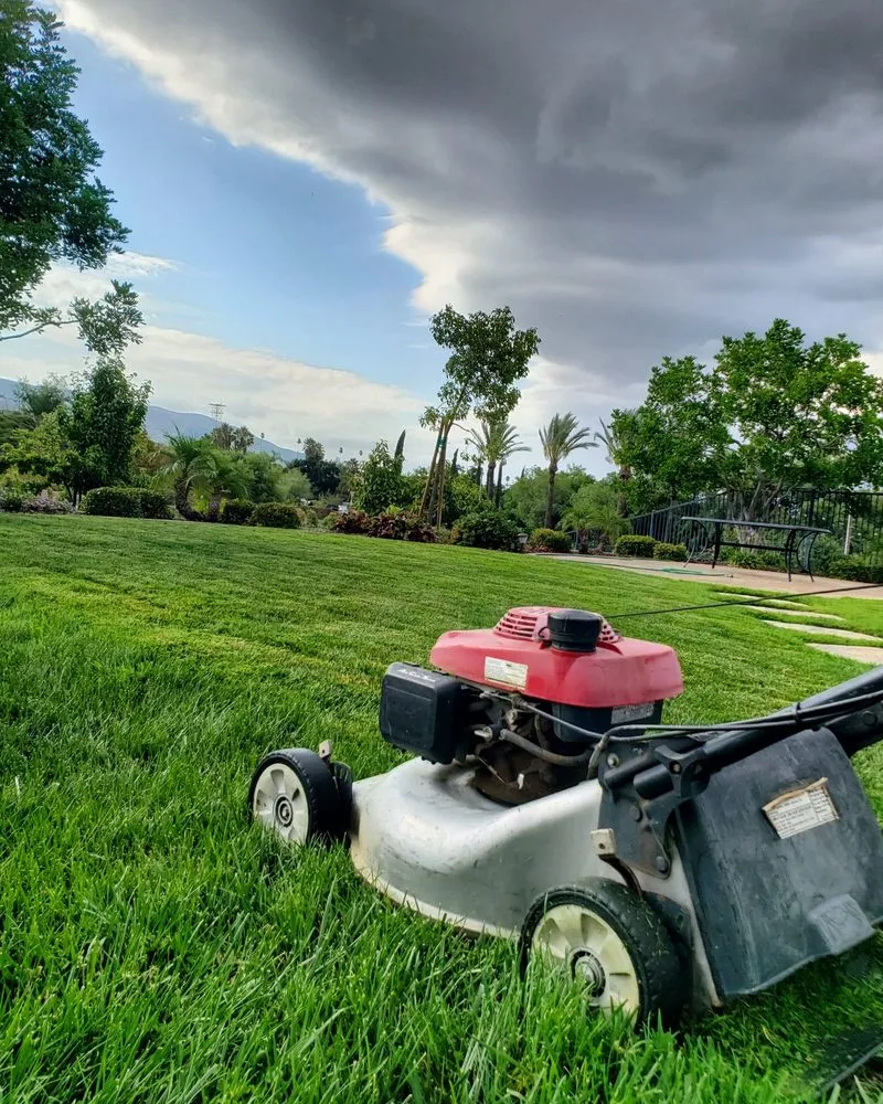 Affordable lawn mowing service for beautiful yards in Villa Park, CA by Joe’s Garden Service