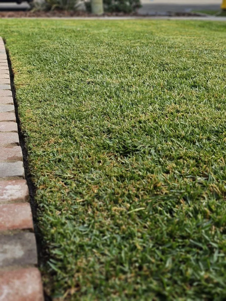 Reliable lawn mowing service in Villa Park, CA by Joe’s Garden Service