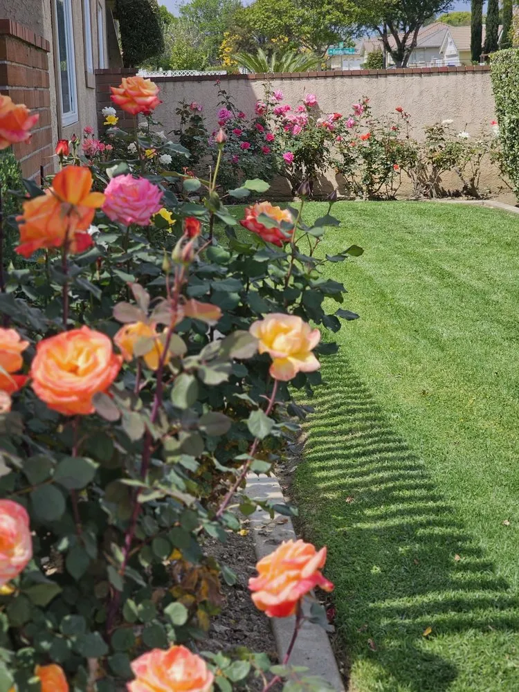 Trusted garden landscaping for homes in Villa Park, CA by Joe’s Garden Service