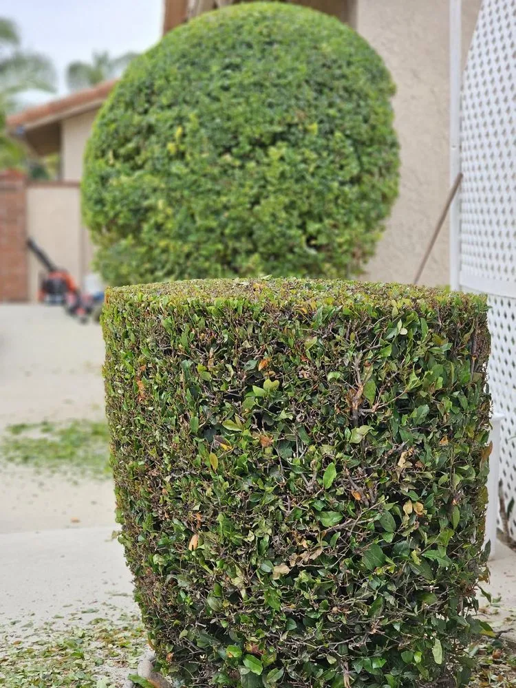 Trusted lawn mowing service in Villa Park, CA by Joe’s Garden Service