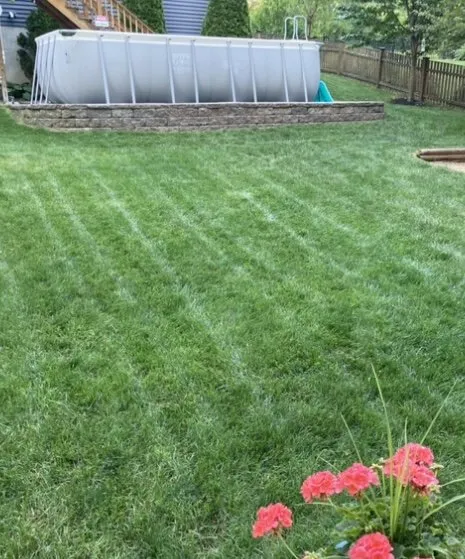 Affordable landscaping services in Woburn, MA - Joe's General Landscaping