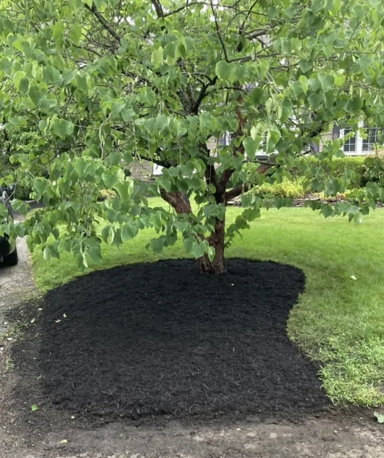 Custom yard cleanup service for homes across Woburn, MA - Joe's General Landscaping
