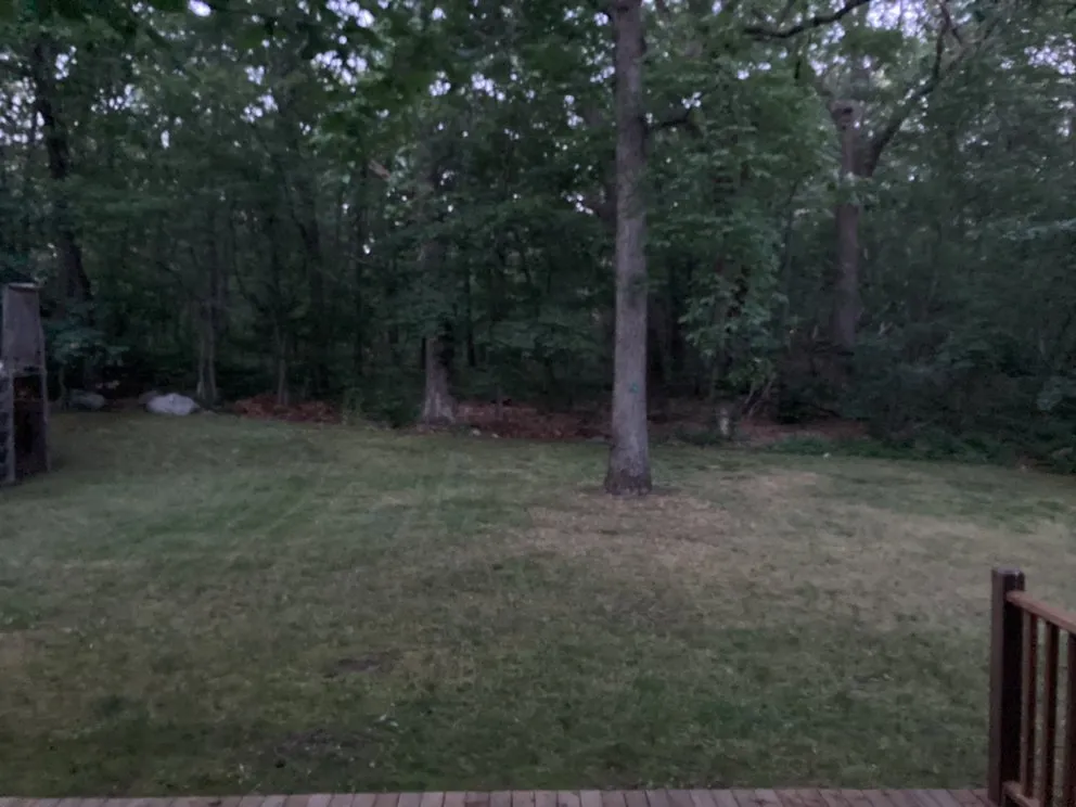 Affordable yard cleanup service in Woburn, MA - Joe's General Landscaping