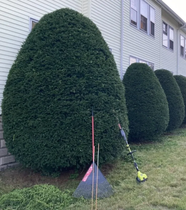 Trusted garden landscaping experts serving Woburn, MA - Joe's General Landscaping