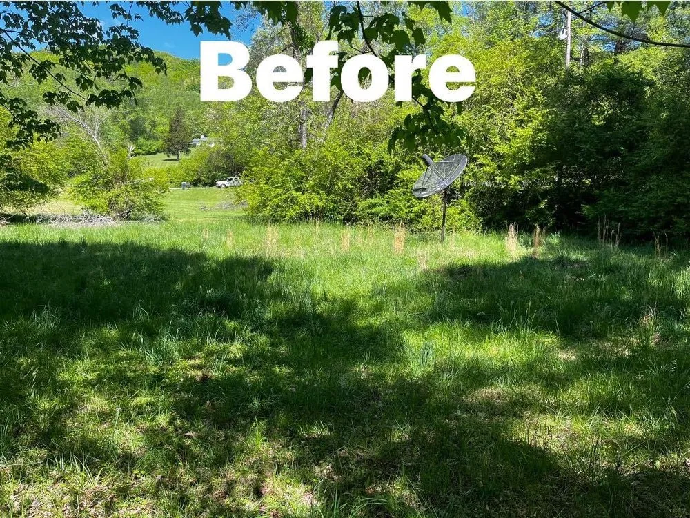 Expert lawn care service for homes across Pinnacle, NC - Joe’s handyman service
