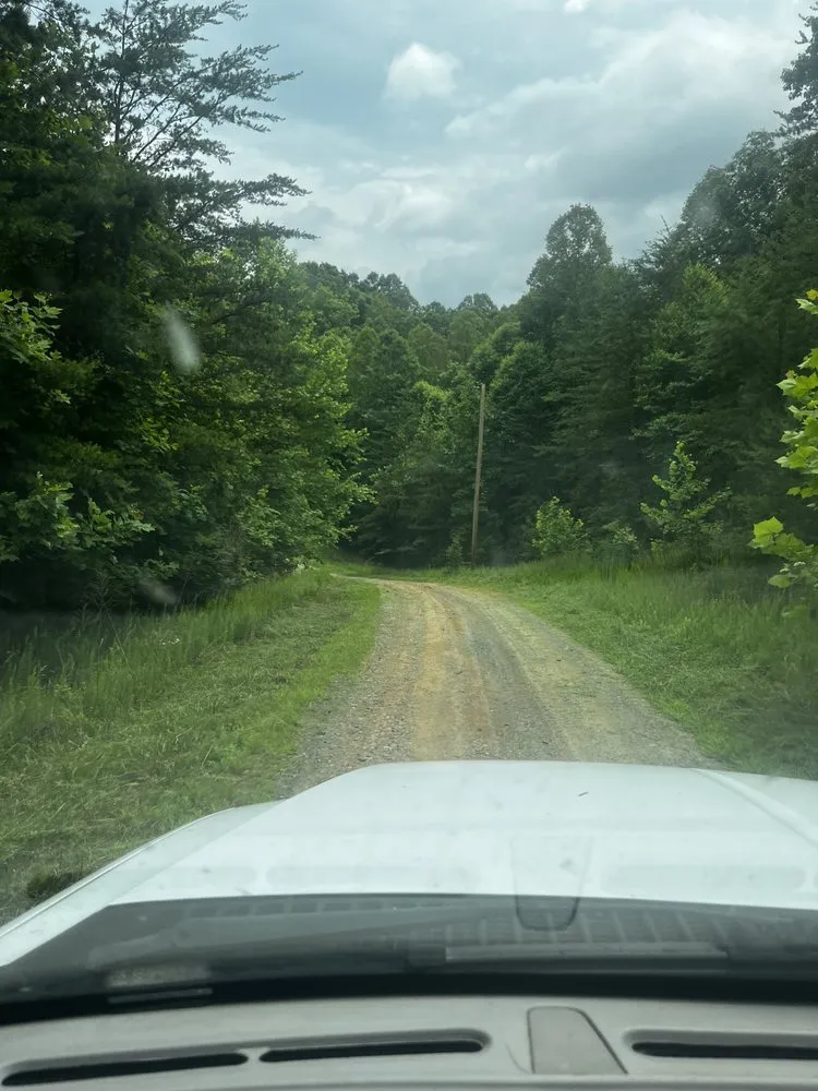 Local landscape design in Pinnacle, NC - Joe’s handyman service