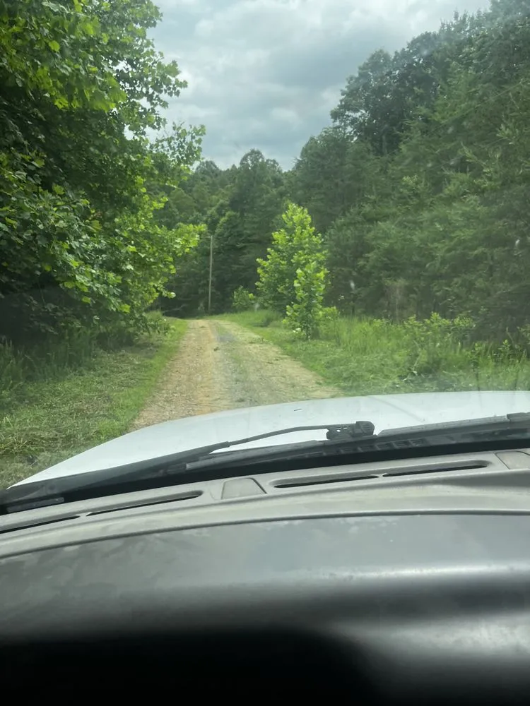 Local yard cleanup service experts serving Pinnacle, NC - Joe’s handyman service