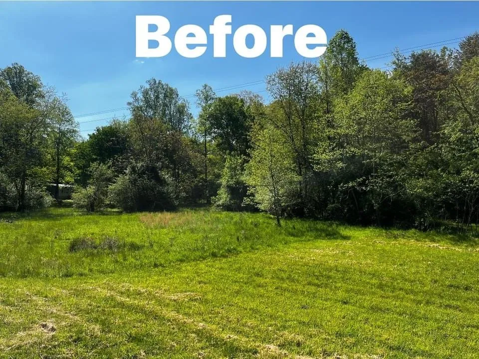 Trusted yard cleanup service in Pinnacle, NC - Joe’s handyman service