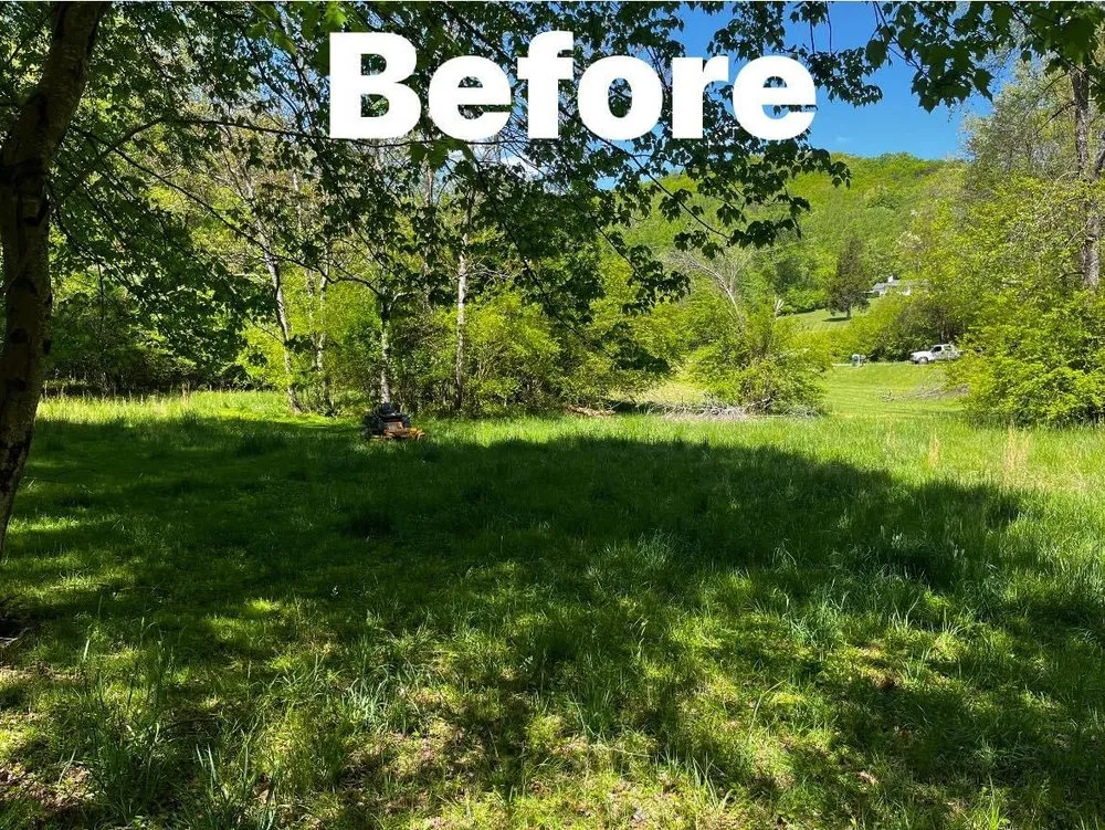Top-rated landscaping services in Pinnacle, NC - Joe’s handyman service