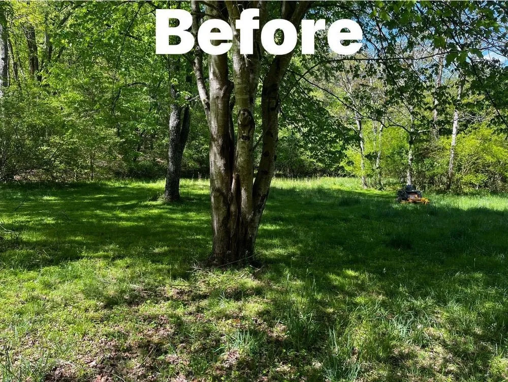 Affordable lawn care service experts serving Pinnacle, NC - Joe’s handyman service