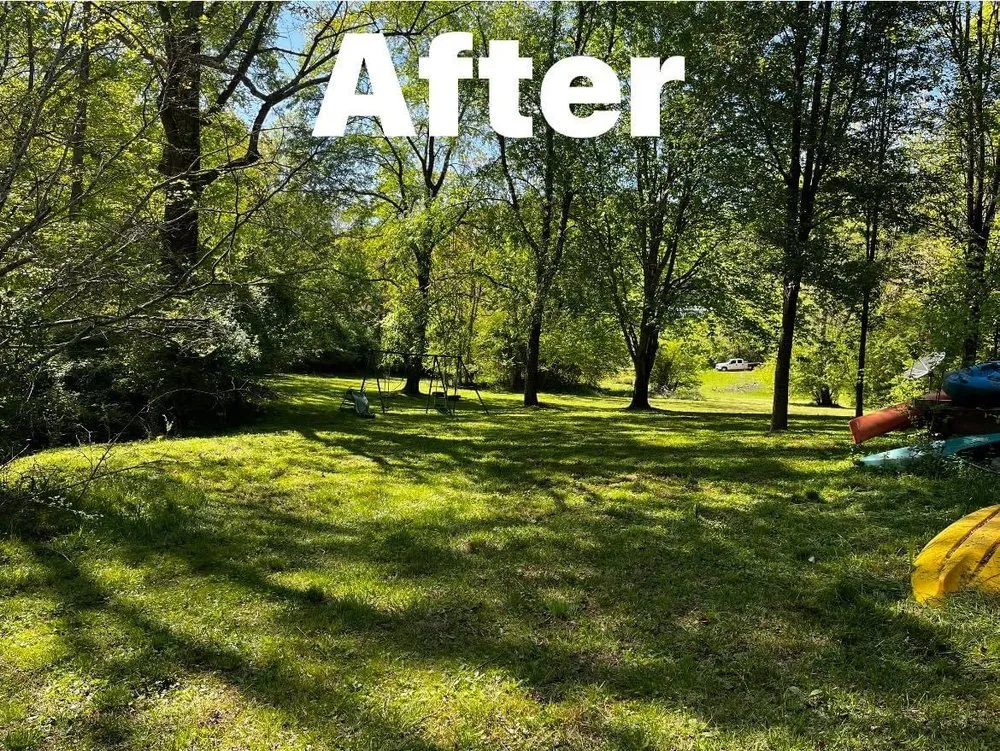 Expert landscape installation experts serving Pinnacle, NC - Joe’s handyman service