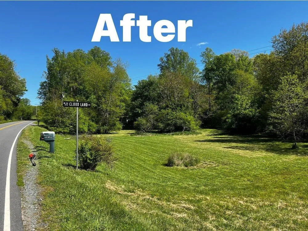 Reliable yard maintenance in Pinnacle, NC - Joe’s handyman service