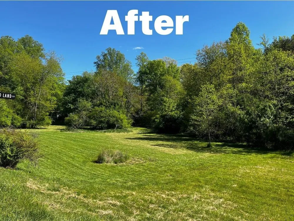 Affordable landscape design for residential properties across Pinnacle, NC - Joe’s handyman service