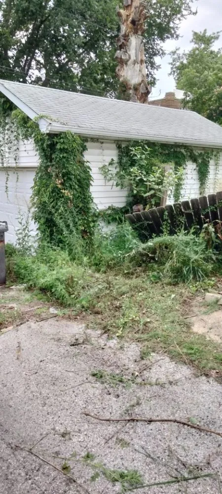 Custom lawn mowing service near you in Pontoon Beach, IL by Joe's Handyman Services