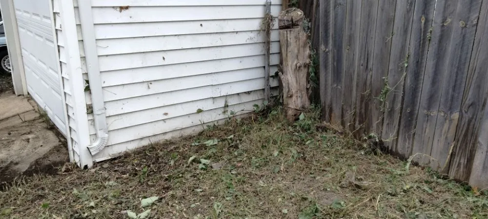 Top-rated yard maintenance for beautiful yards across Pontoon Beach, IL - Joe's Handyman Services