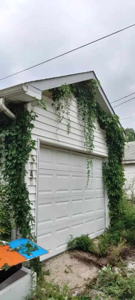 Professional yard maintenance near you across Pontoon Beach, IL - Joe's Handyman Services