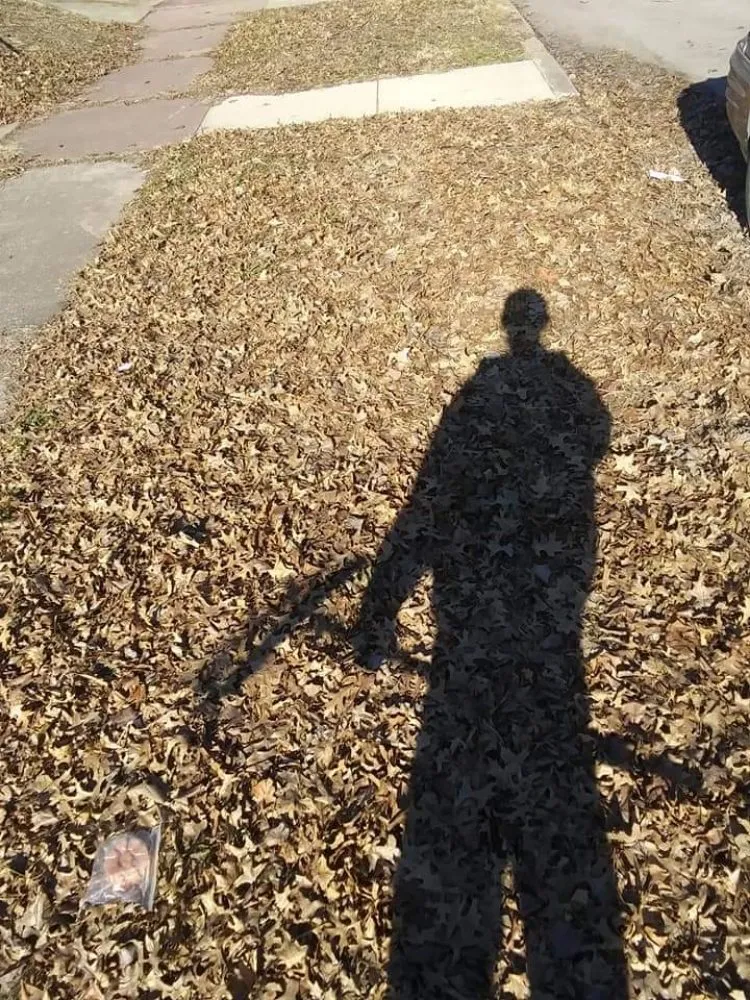 Local lawn mowing service in Pontoon Beach, IL - Joe's Handyman Services