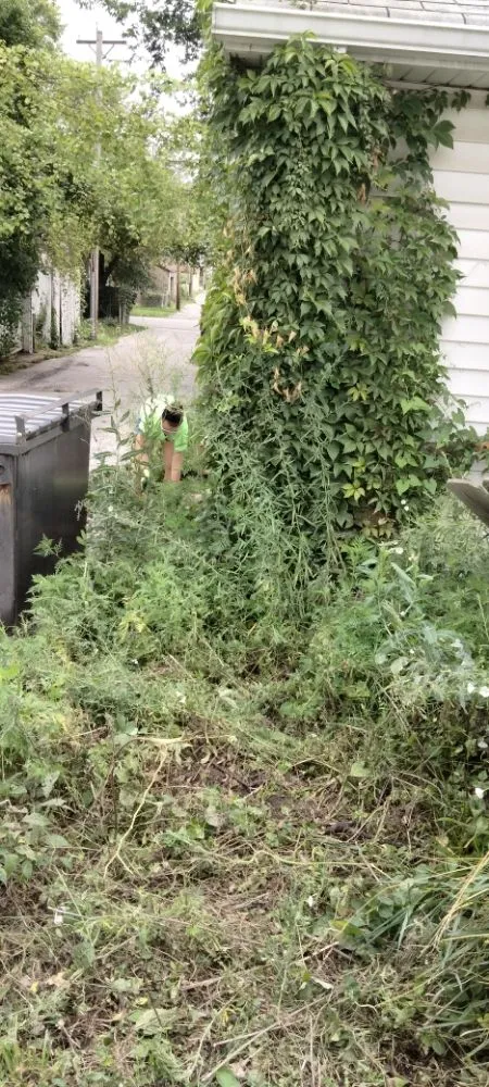 Affordable lawn mowing service in Pontoon Beach, IL by Joe's Handyman Services