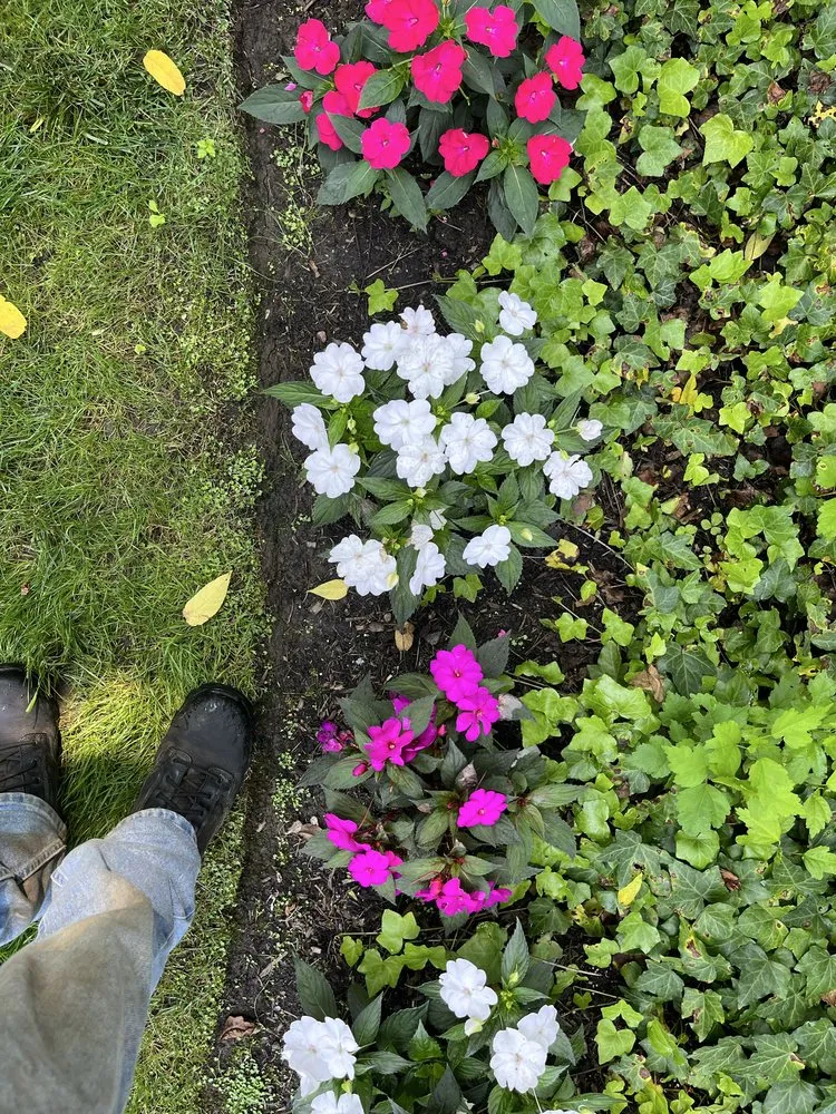 Trusted lawn mowing service experts serving Yorktown Heights, NY - Joes Home Imporvements