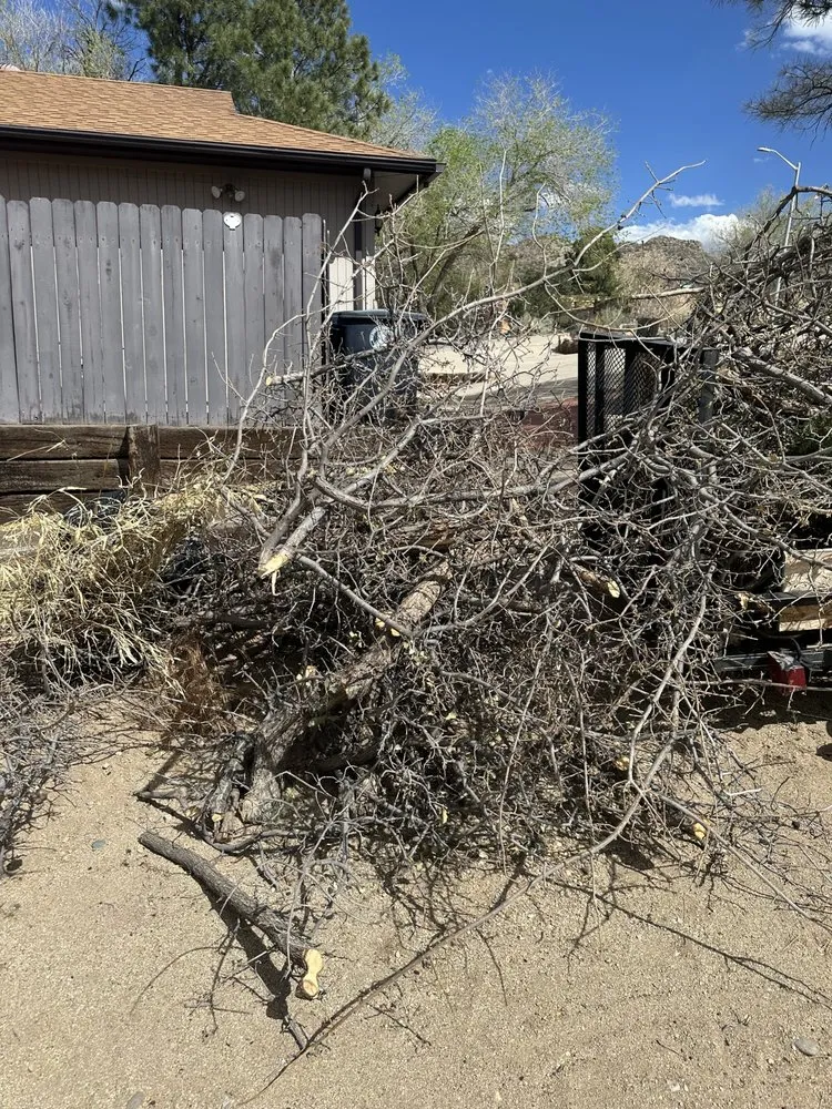 Expert lawn mowing service for homes across Albuquerque, NM - Joes Junk Removal