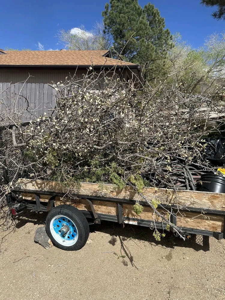 Custom yard cleanup service for beautiful yards across Albuquerque, NM - Joes Junk Removal