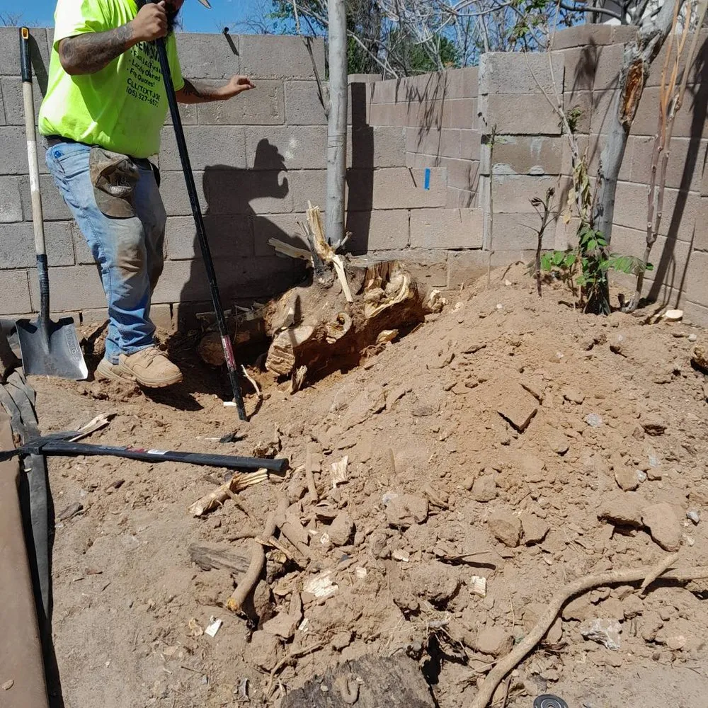 Affordable landscaping services in Albuquerque, NM by Joes Junk Removal