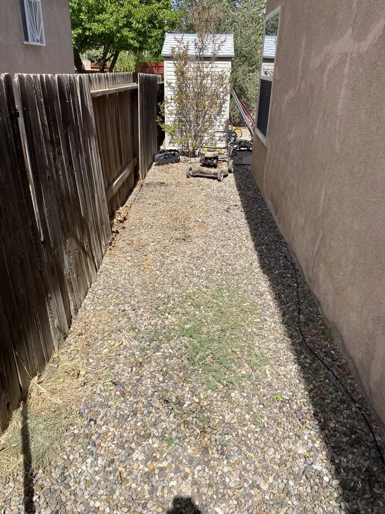 Top-rated yard maintenance experts serving Albuquerque, NM - Joes Junk Removal