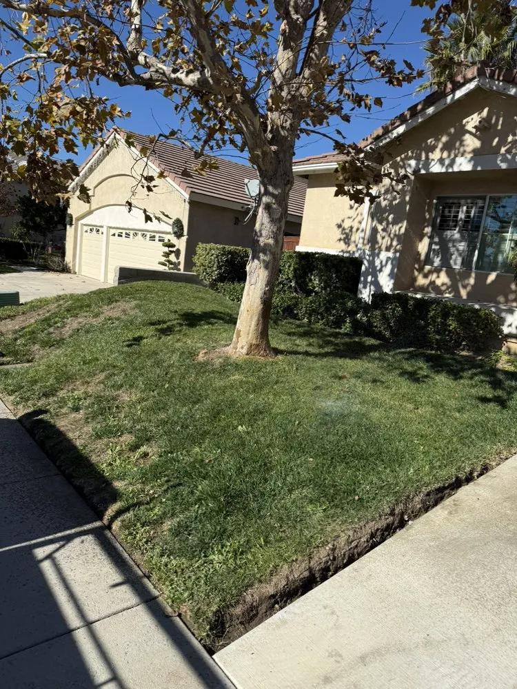 Reliable landscape design for residential properties in Romoland, CA by Joe’s Junk Removal