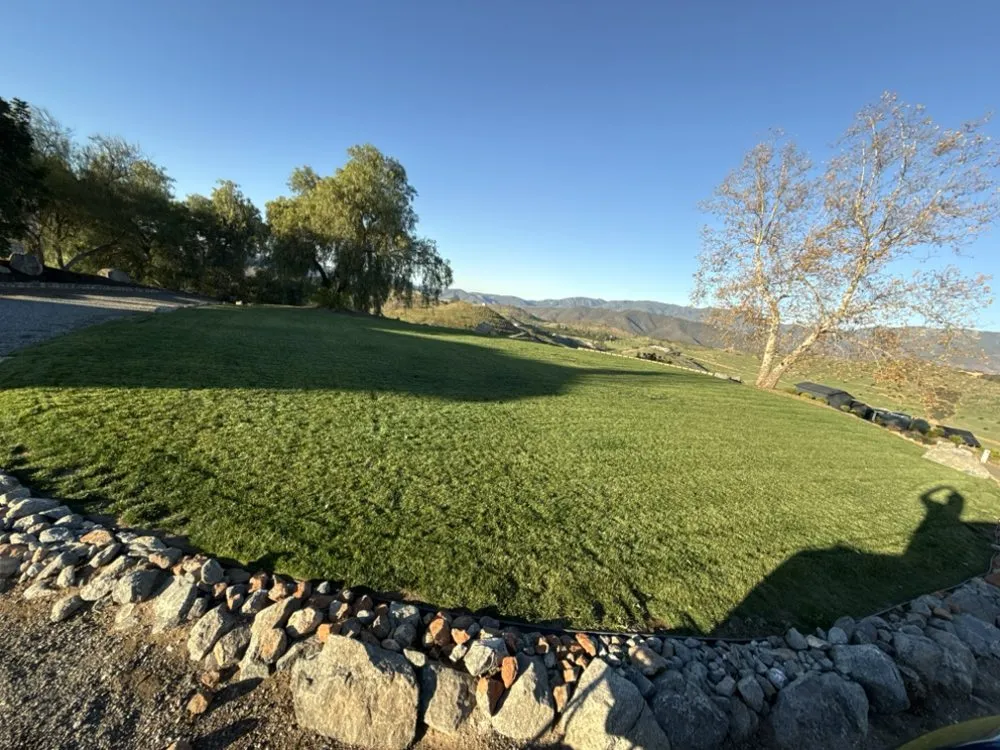 Professional lawn care service for outdoor upgrades across Romoland, CA - Joe’s Junk Removal