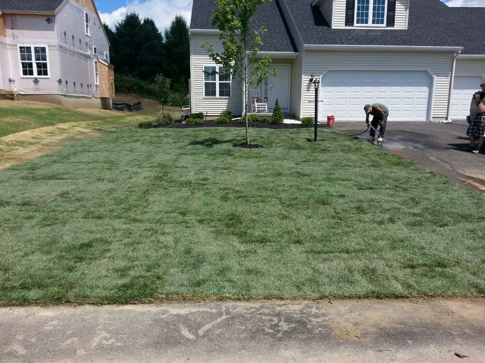 Reliable landscape installation in Nassau, NY by Joe's Landscape & Handyman Services