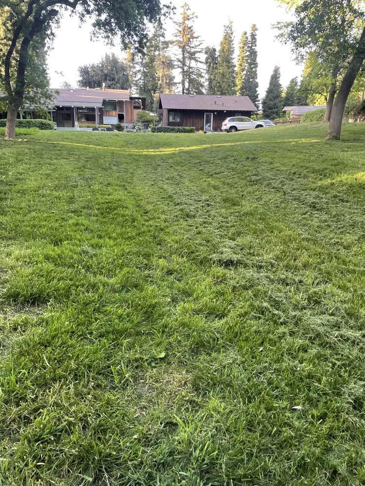 Affordable landscape installation in Modesto, CA - Joes Landscape & Maintenance Services