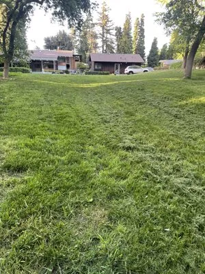 Joes Landscape & Maintenance Services Logo