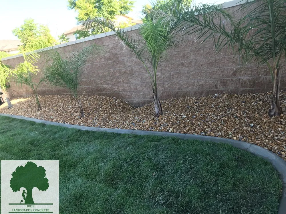 Local yard cleanup service in Muscoy, CA by Joes Landscaped & Concrete services