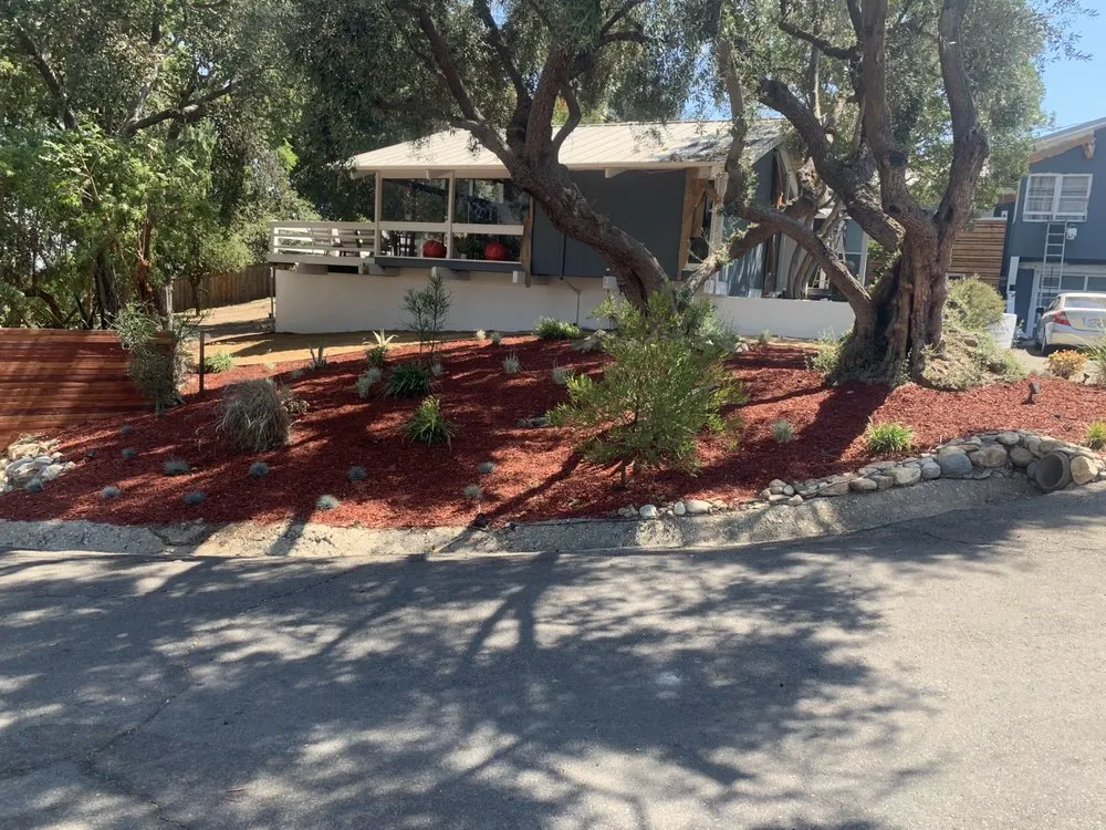 Trusted landscaping services in Muscoy, CA by Joes Landscaped & Concrete services