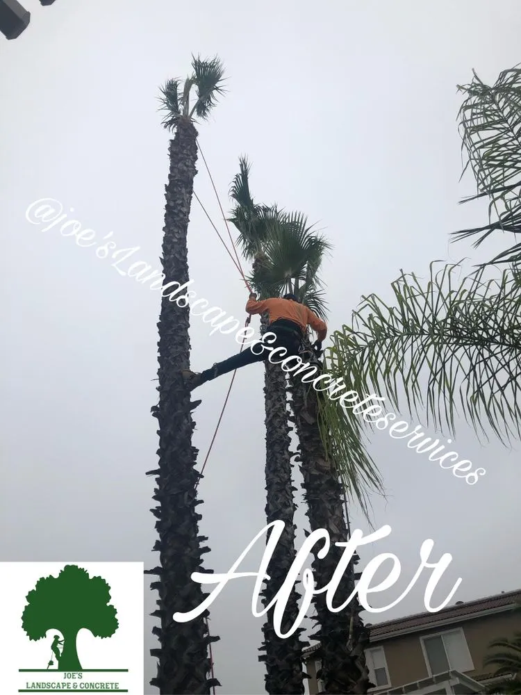 Reliable landscape design in Muscoy, CA by Joes Landscaped & Concrete services