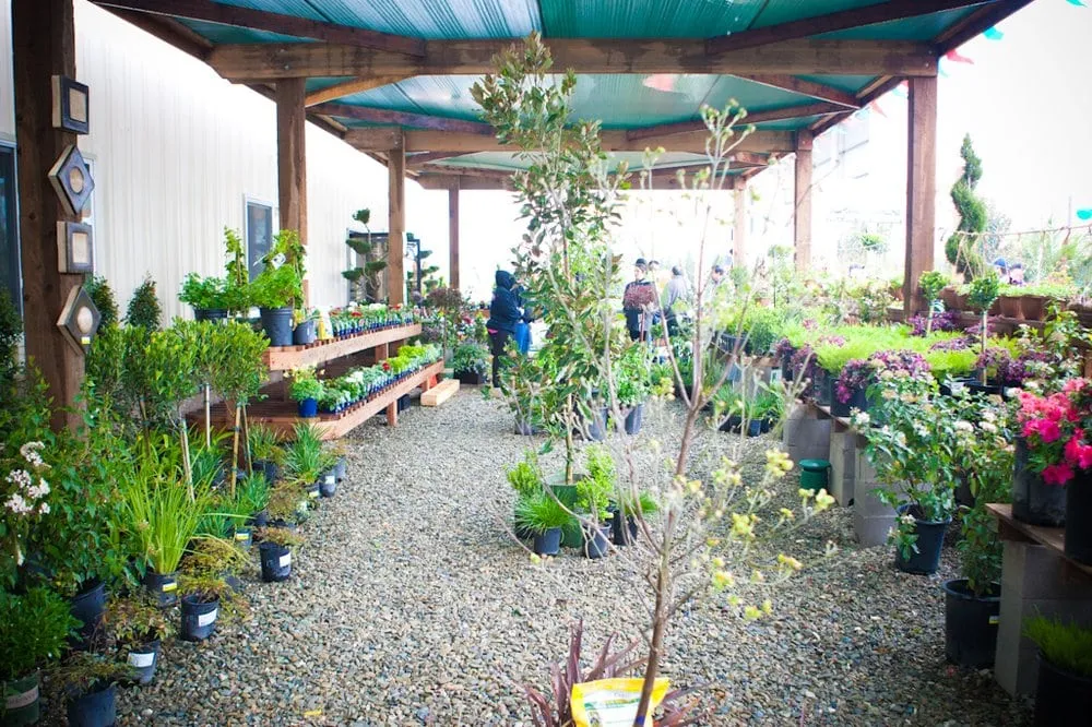 Trusted lawn mowing service for outdoor upgrades in Patterson, CA by Joe's Landscaping & Concrete