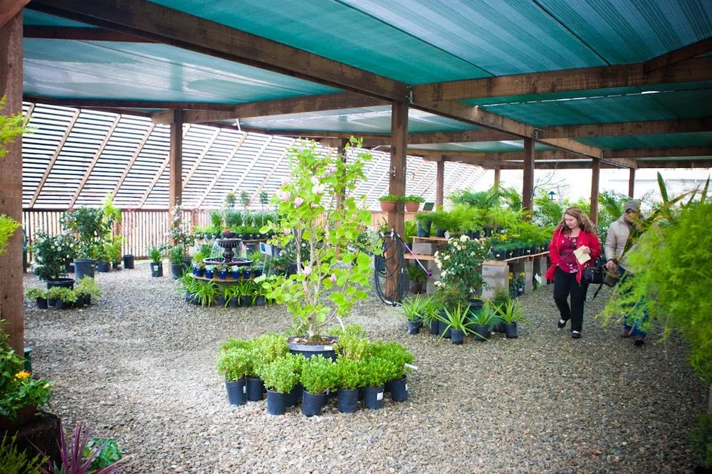 Affordable residential landscaping in Patterson, CA by Joe's Landscaping & Concrete