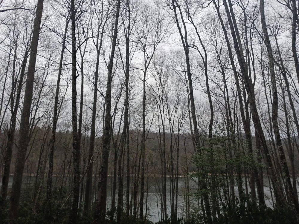 Affordable yard maintenance in Hickory, NC - Joes Landscaping and More