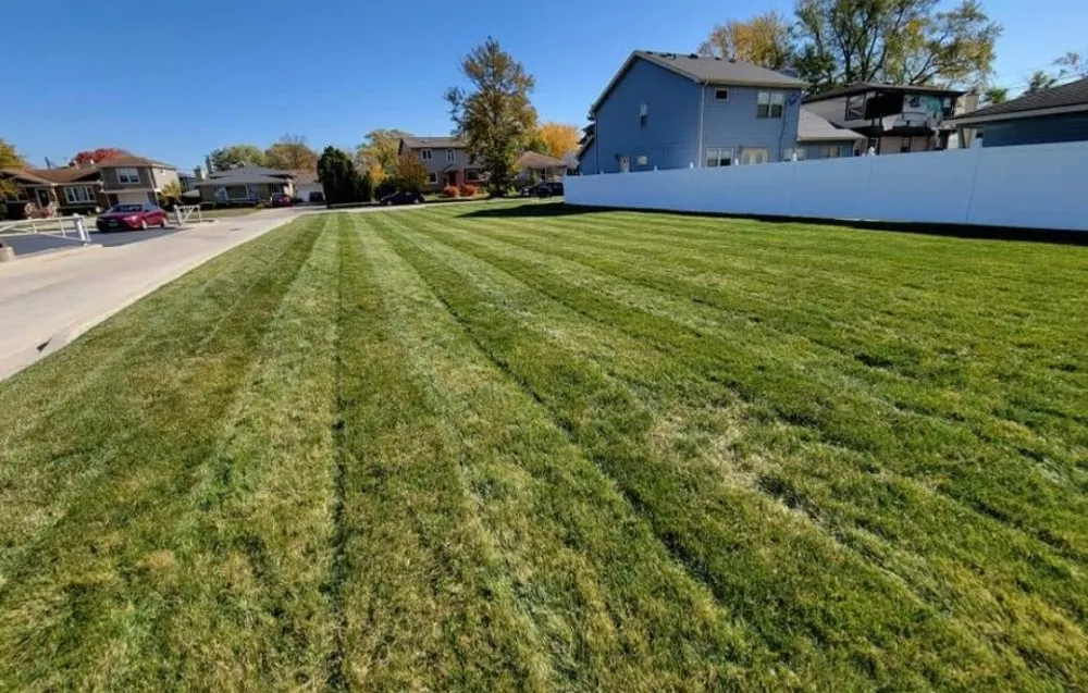 Custom yard maintenance in La Grange Park, IL by Joe's Landscaping