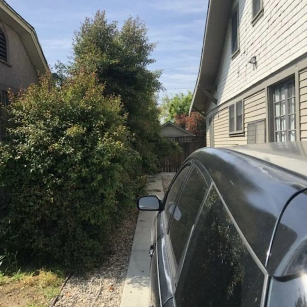 Professional landscape design with custom design in Los Angeles, CA by Joe’s Landscaping