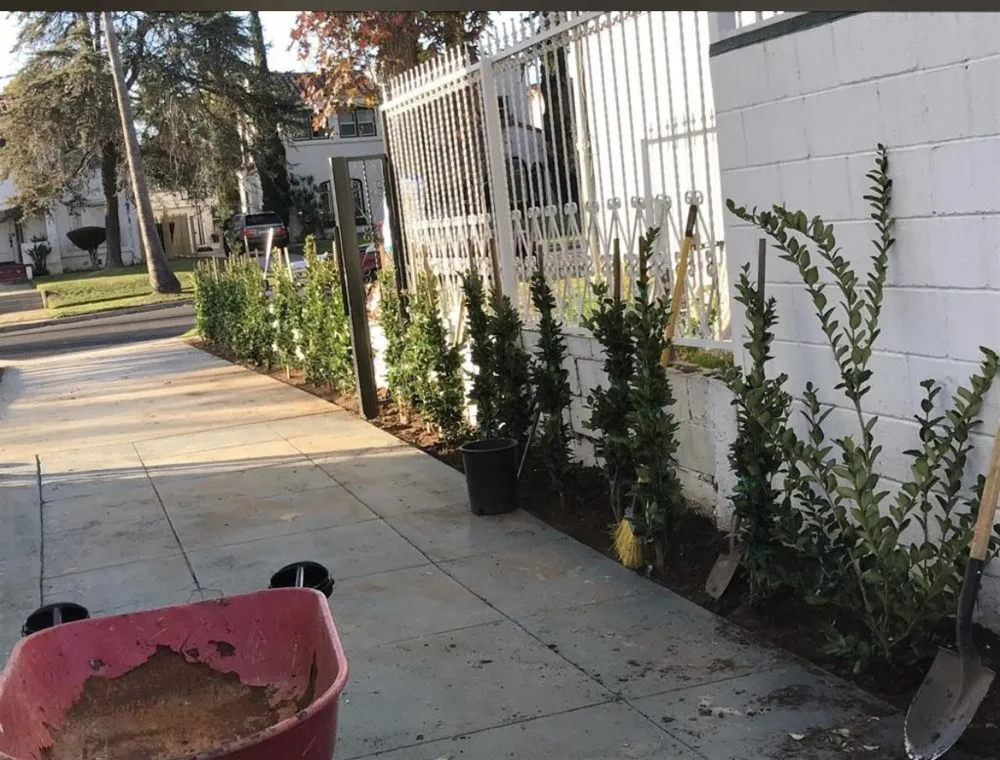 Custom residential landscaping for residential properties across Los Angeles, CA - Joe’s Landscaping