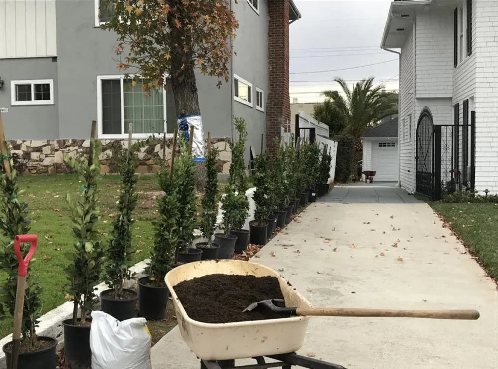 Local landscape design in Los Angeles, CA by Joe’s Landscaping