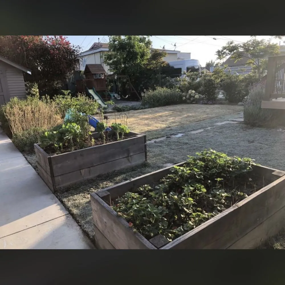 Expert outdoor landscaping with custom design in Los Angeles, CA by Joe’s Landscaping