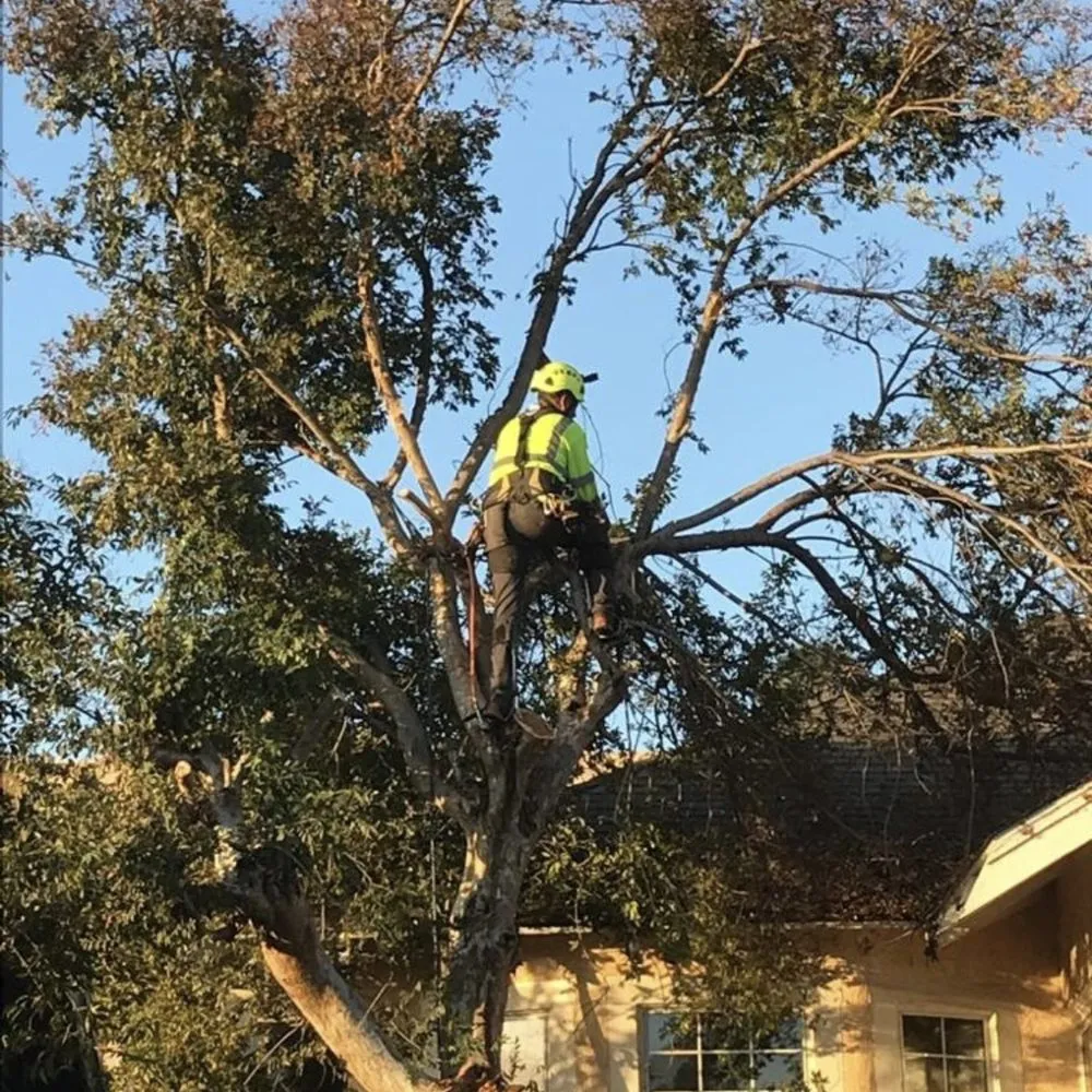 Local landscape installation experts serving Los Angeles, CA - Joe’s Landscaping