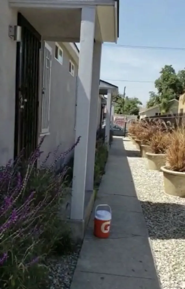 Affordable landscape design experts serving Los Angeles, CA - Joe’s Landscaping