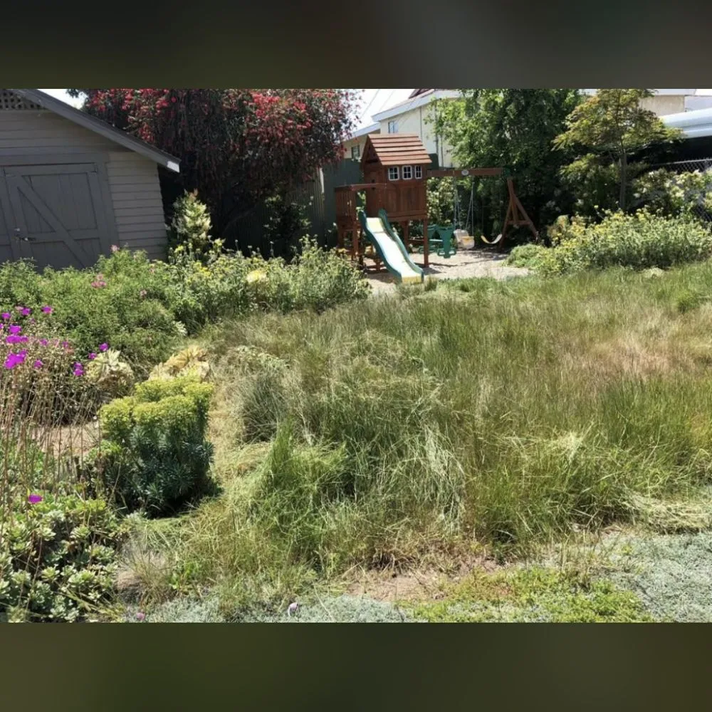 Expert residential landscaping for year-round maintenance in Los Angeles, CA by Joe’s Landscaping