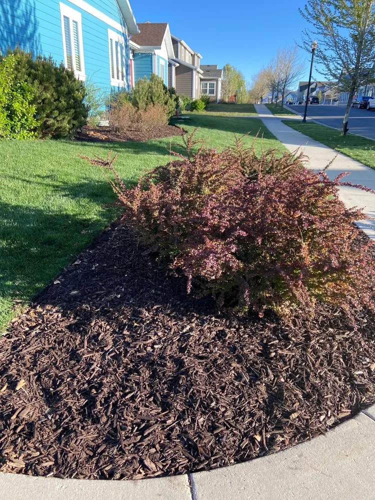 Top-rated outdoor landscaping in Salt Lake City, UT - Joe’s Landscaping