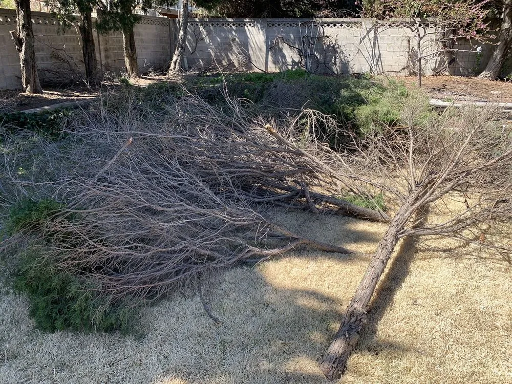 Professional garden landscaping in Salt Lake City, UT - Joe’s Landscaping